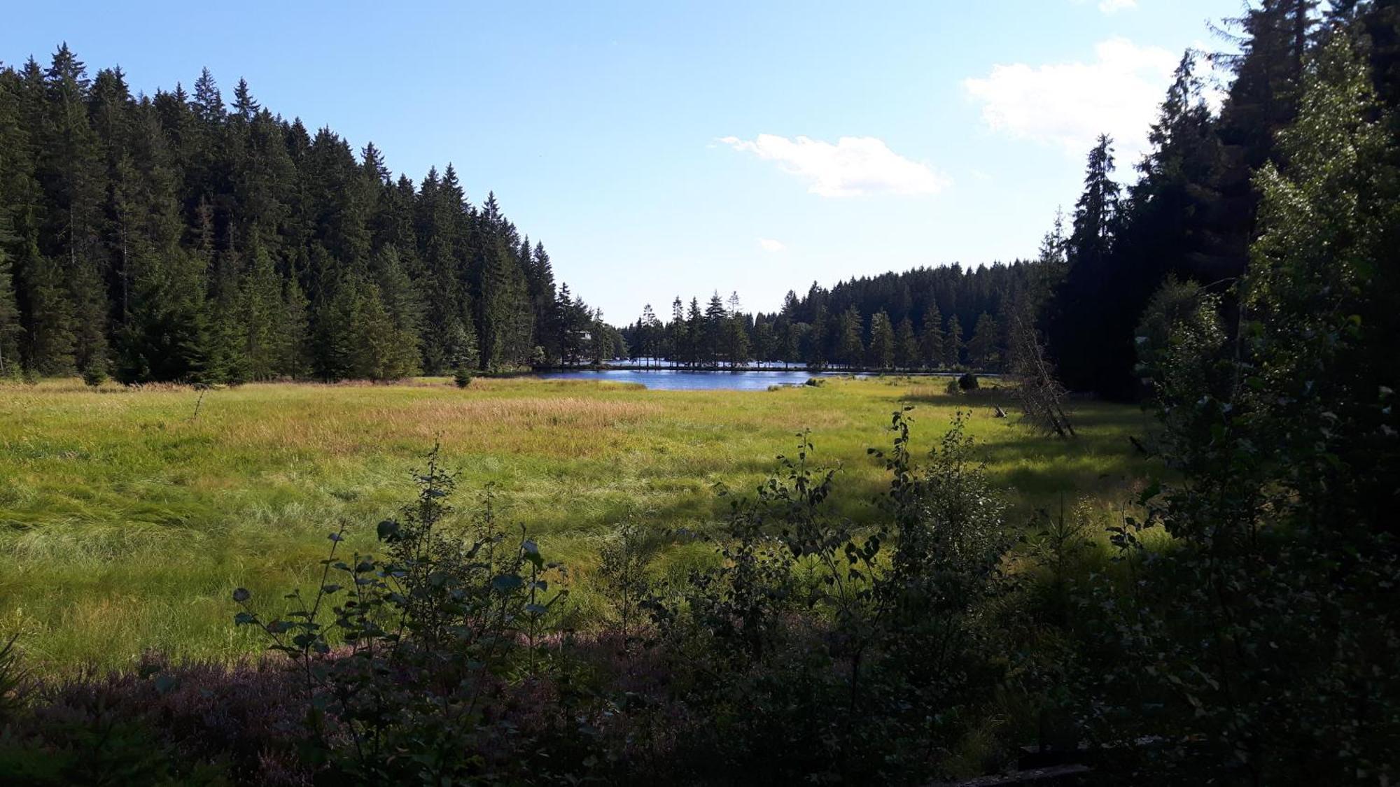 Gefrees Ferienwohnung Im Bauernhaus Im Fichtelgebirge מראה חיצוני תמונה